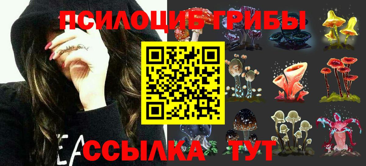 Галлюциногенные грибы GOLDEN TEACHER Ипатово